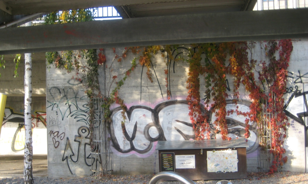 Bâle 24.10.11 (145)