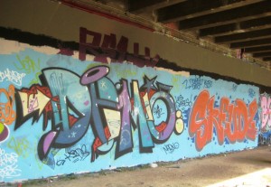 besancon_13.08.12_graffiti_demo_skeudz (1)