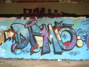 besancon_13.08.12_graffiti_demo_skeudz (2)