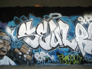 graffiti_besancon_14.08.12 seul - relik - spame (1)