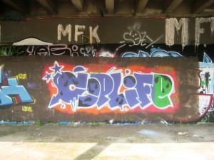 05.09.12 besancon graffiti SPLIFE (1)