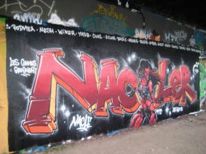 besancon septembre 2012- graffiti - Nacler - Les connes grognent