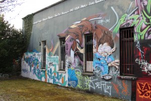 graffiti Dijon (5)