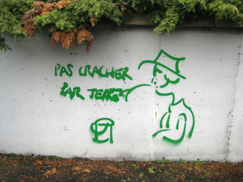 strasbourg 03.12.12 pas cracher par terre - graff