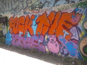 Grenoble_graffiti_FuckThePigs