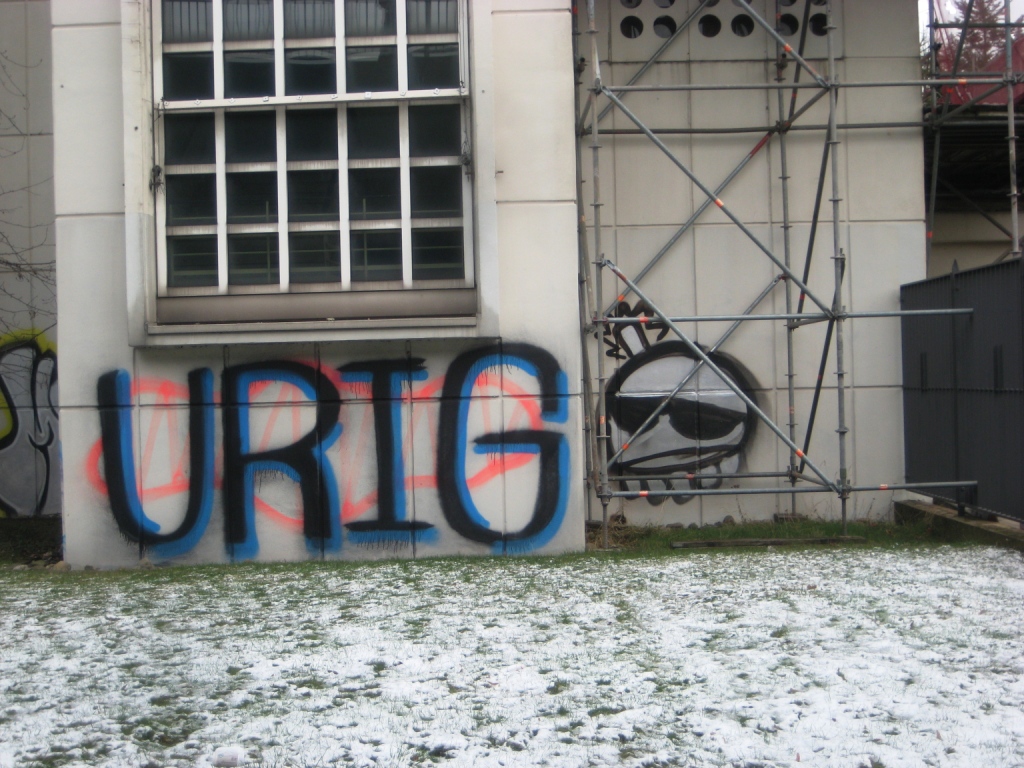 Saarbrücken_Graffiti_13.01.13_urig (1)