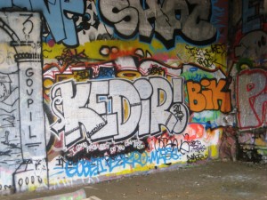 besancon_10.03.13_graffiti_VNV_Kedir (2)