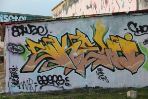 graffiti Dijon_tanneries_Skewy (1)