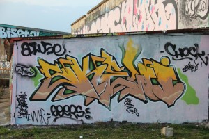 graffiti Dijon_tanneries_Skewy