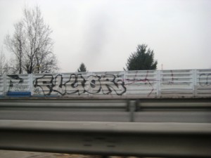 strasbourg - graffiti - mars 2013 - Fluor