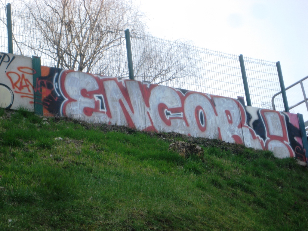 mars 2013 - besancon Encor - graffiti