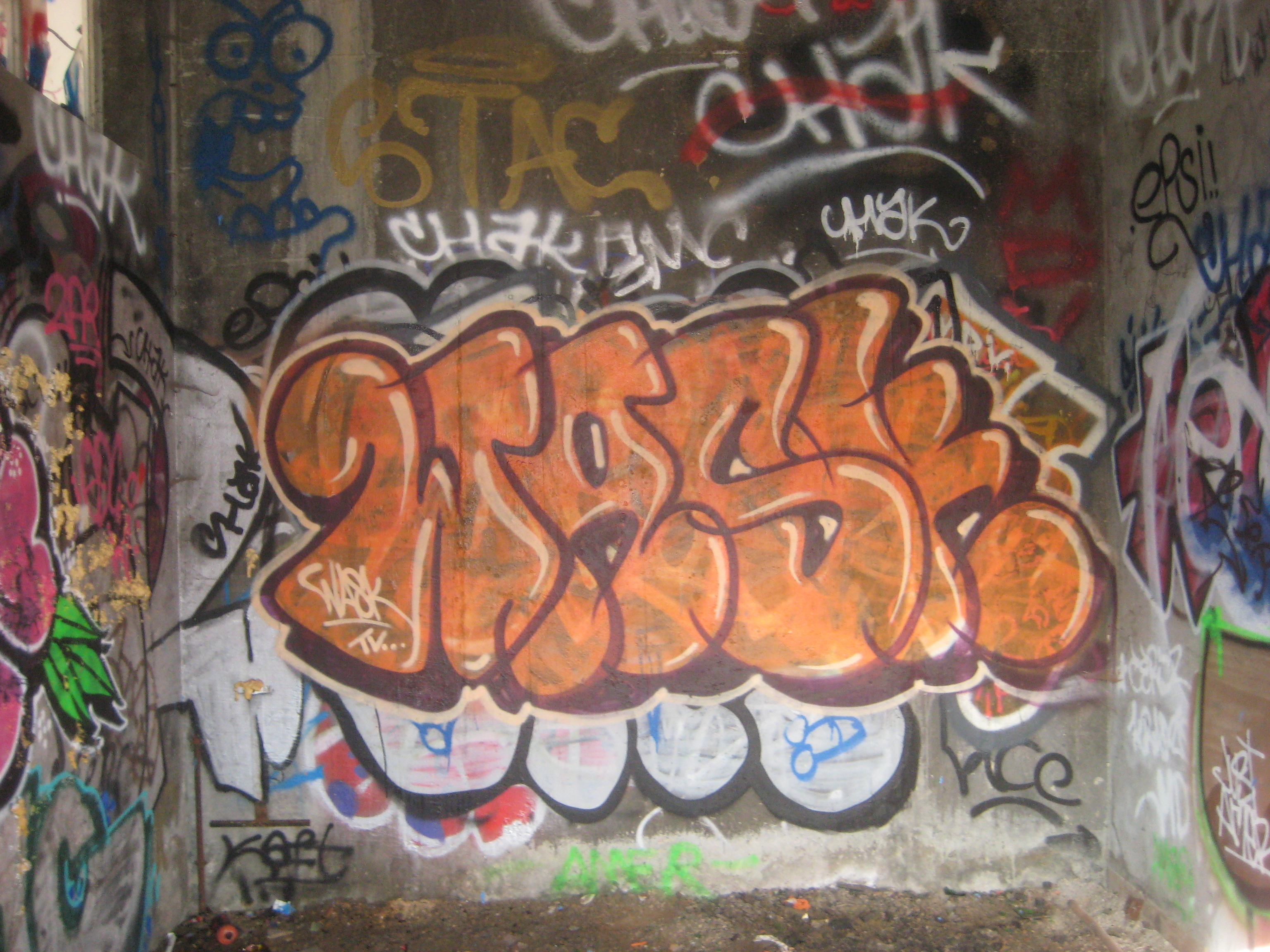 besancon 10.03.14 graffiti - Wask