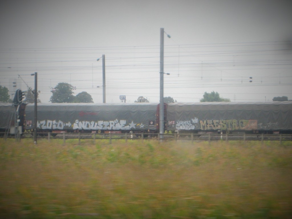 zoid industrie, Maestro - graffiti - strasbourg - train - 2014