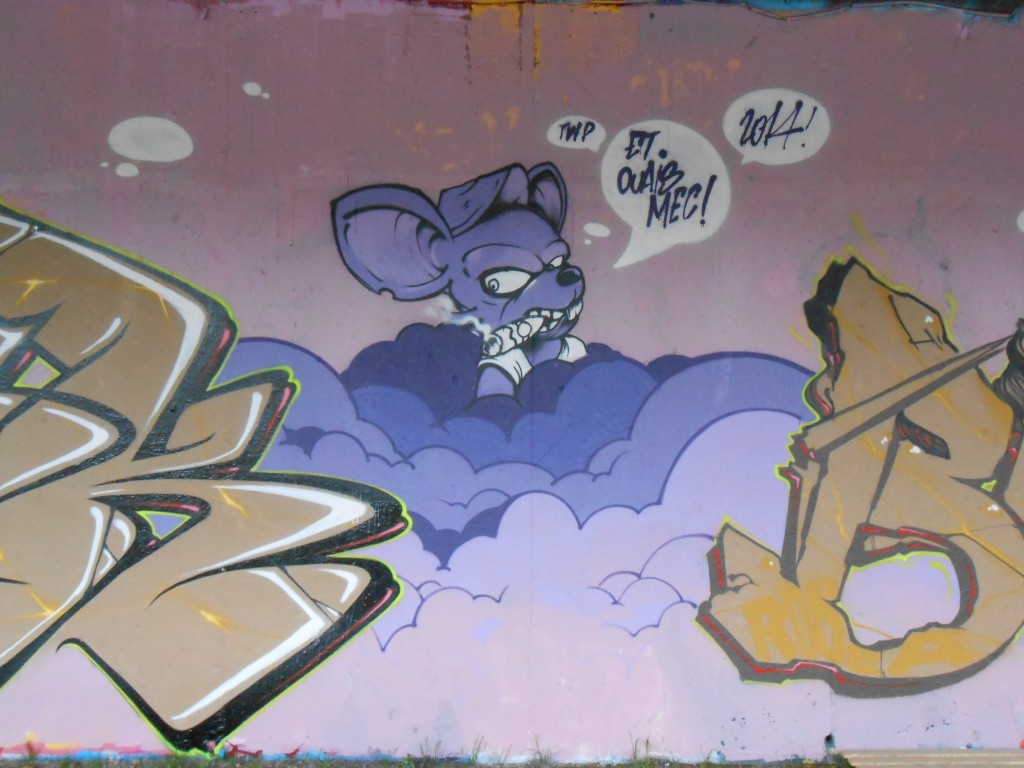 besancon_novembre 2014 graffiti -TWP (3)