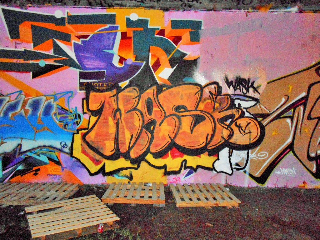 besancon - graffiti - novembre 2014 Wask