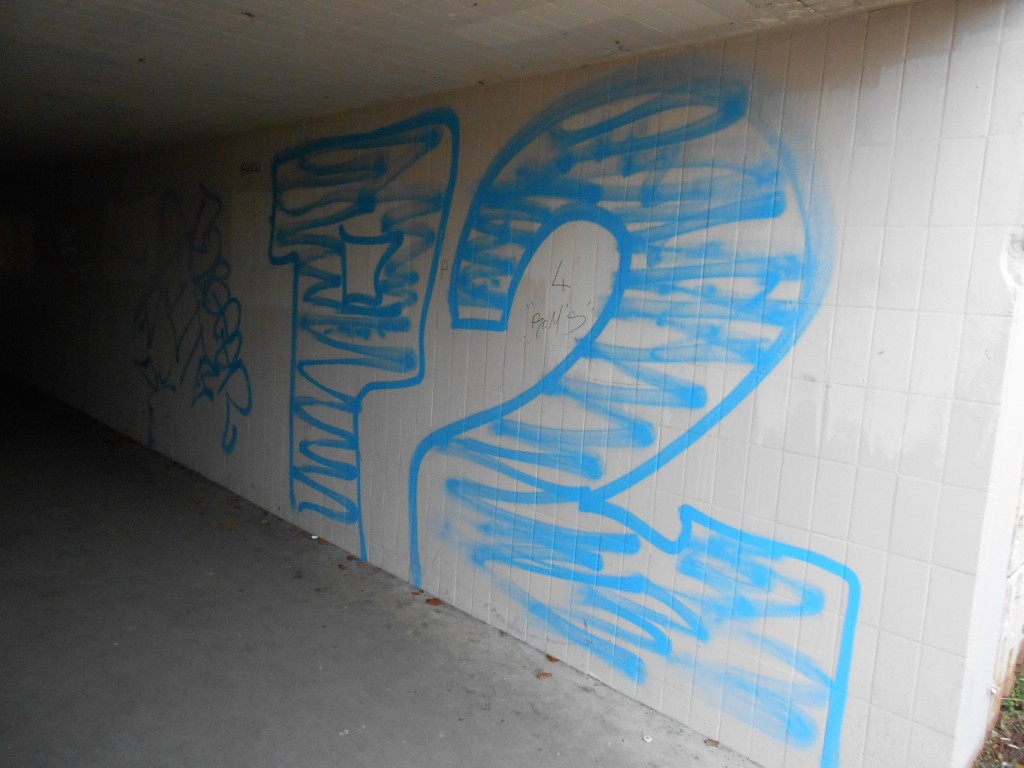 P2 graffiti besancon mars 2015 (1)