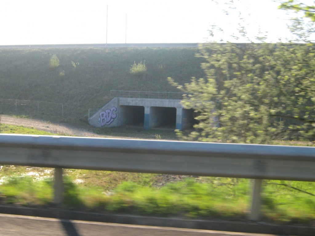 BDC - Graffiti, Franche-Comté, 2015