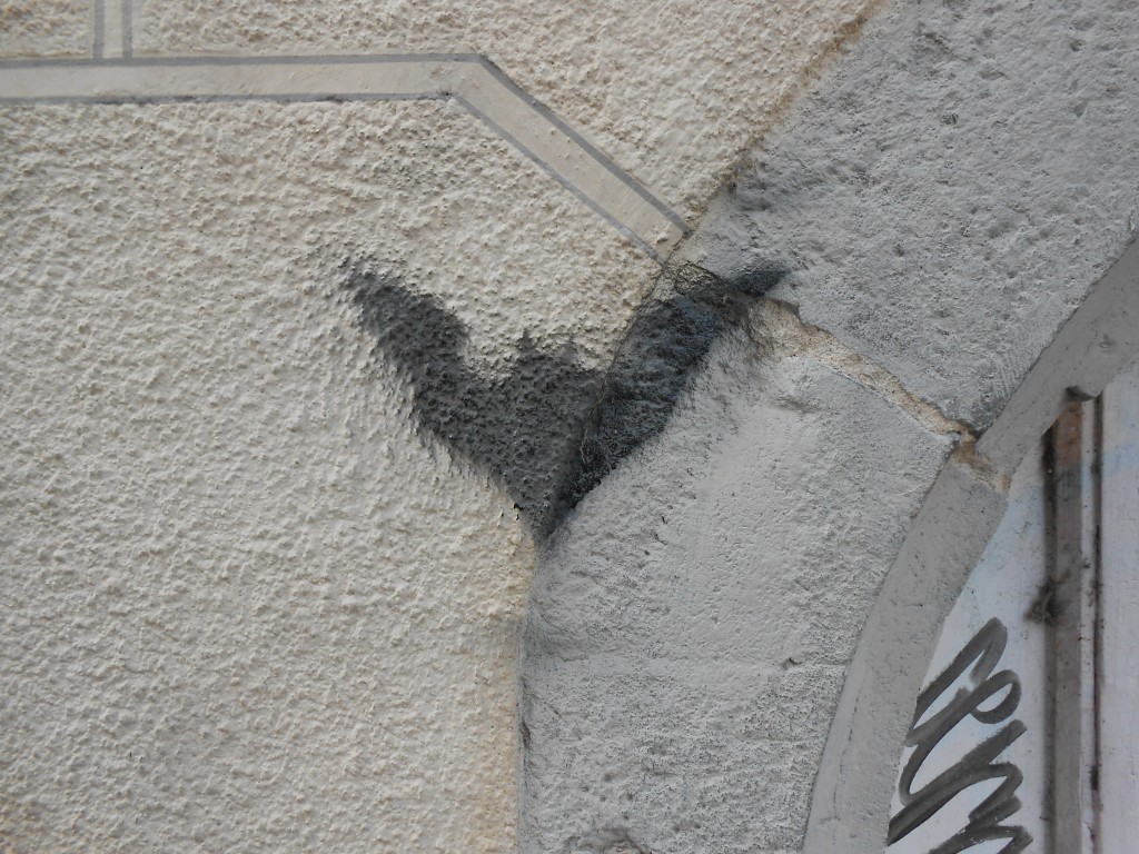 chauve souris - pochoir - besancon 2015 (2)