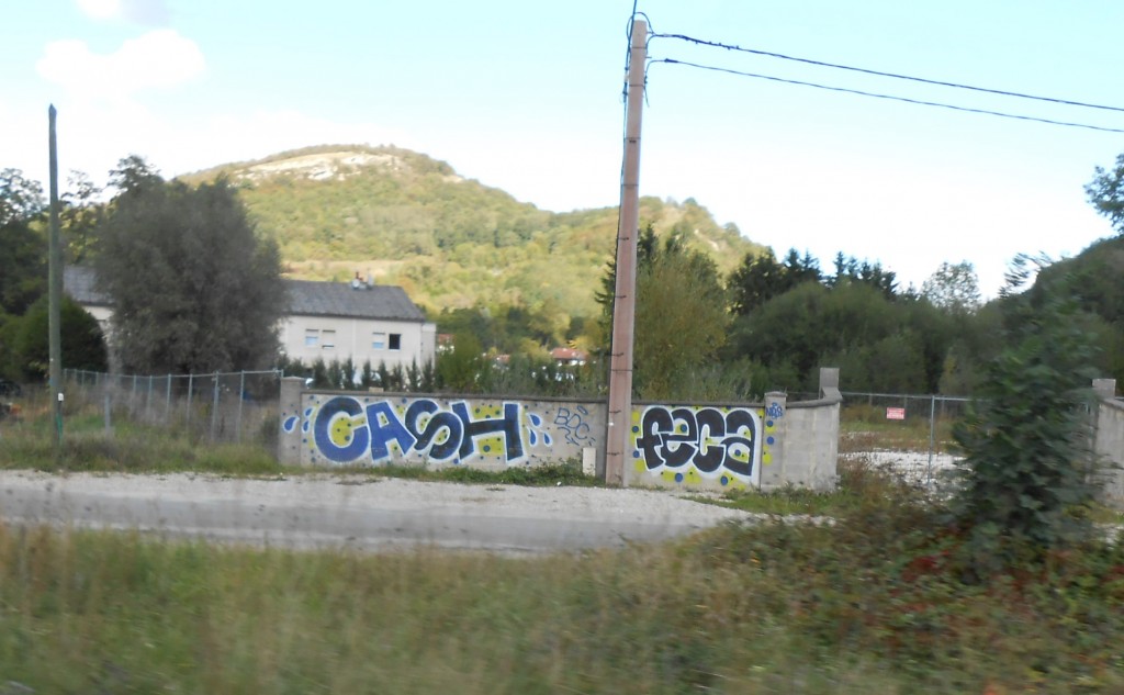 cash, feca - graffiti - besancon 2015