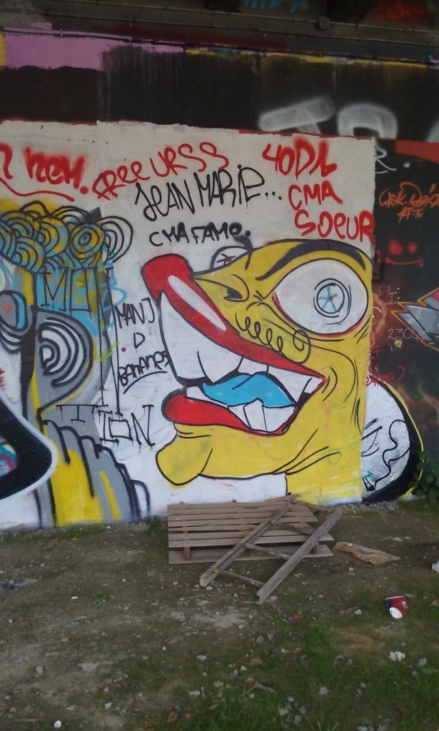 graffiti - octobre 2015 besancon arènes (2)