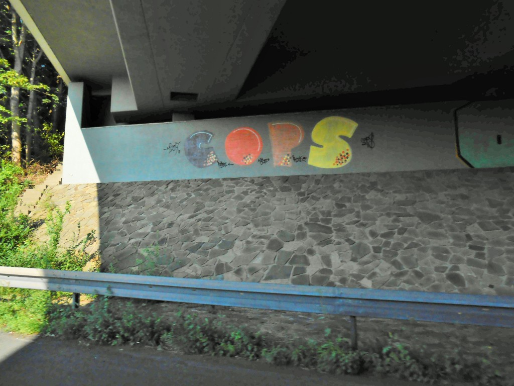 COPS - graffiti - allemagne 2015