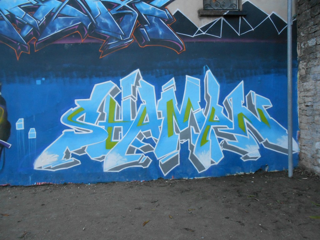 shaman graffiti besancon 2015