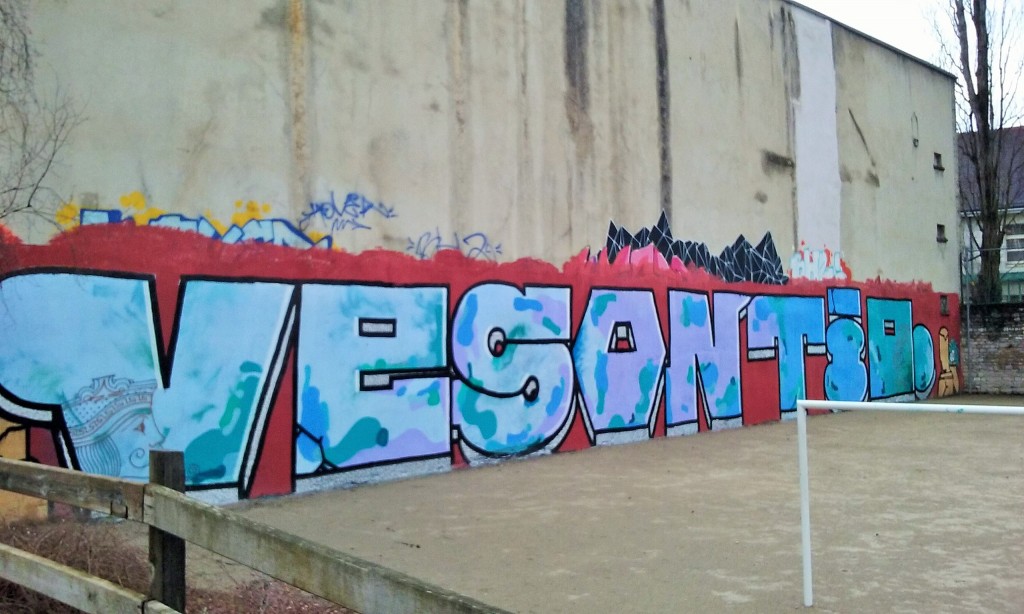 VESONTIO graffiti besancon 2016 (2)