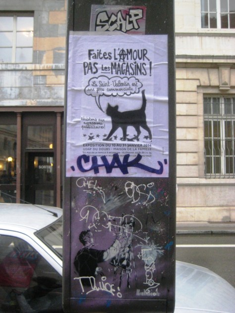 besancon-fevrier 2014-faites l'amour pas les magasins (20)