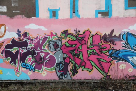 graffiti Dijon (58)