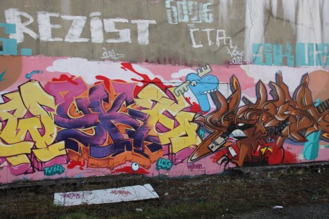 graffiti Dijon (60)