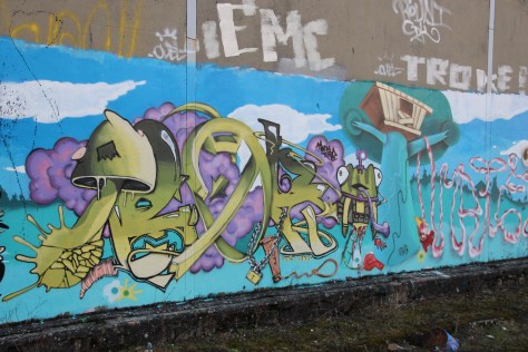 graffiti Dijon (65)