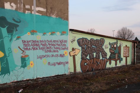 graffiti Dijon (74)