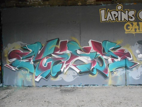 besancon, graffiti, avril 2014 Lapins Crétins Gang - Mesh - Wyker - Nacle (3)