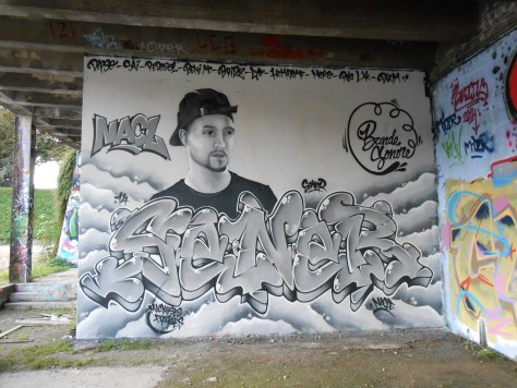 septembre 2014 Sener, Nacl - graffiti - besancon  (1)