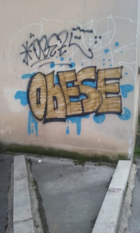 obese-besancon-graffiti-2016